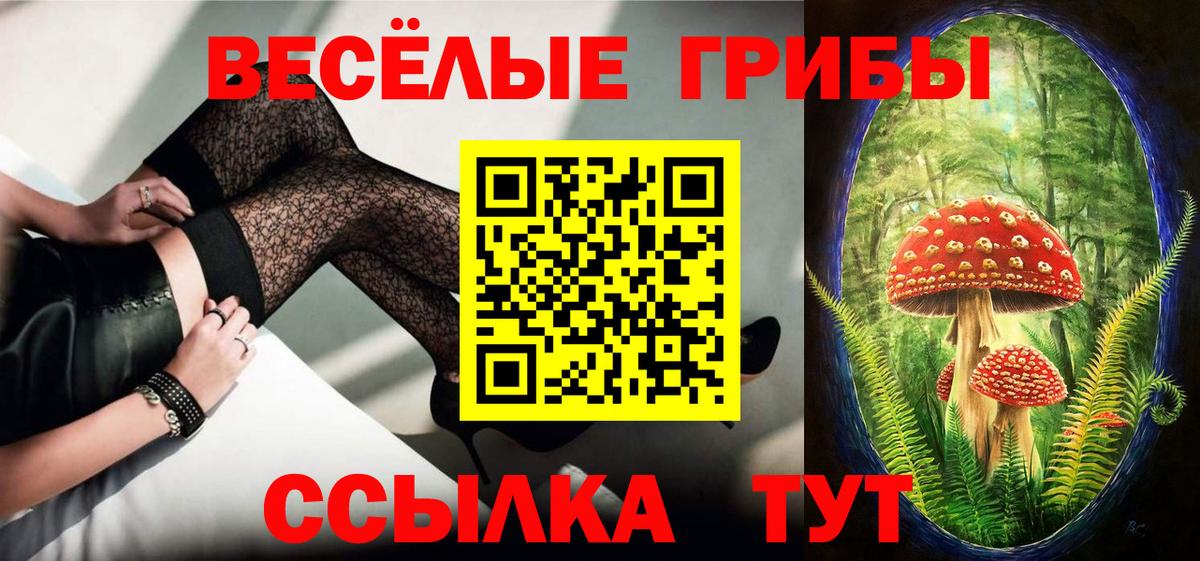 Псилоцибиновые грибы Magic Shrooms  Вход с VPN  Псилоцибиновые грибы Psilocybine cubensis  Саранск 